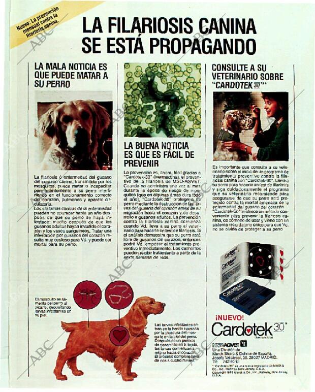 BLANCO Y NEGRO MADRID 21-05-1989 página 115