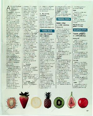 BLANCO Y NEGRO MADRID 04-06-1989 página 107