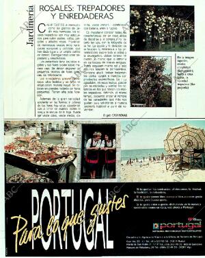 BLANCO Y NEGRO MADRID 04-06-1989 página 119