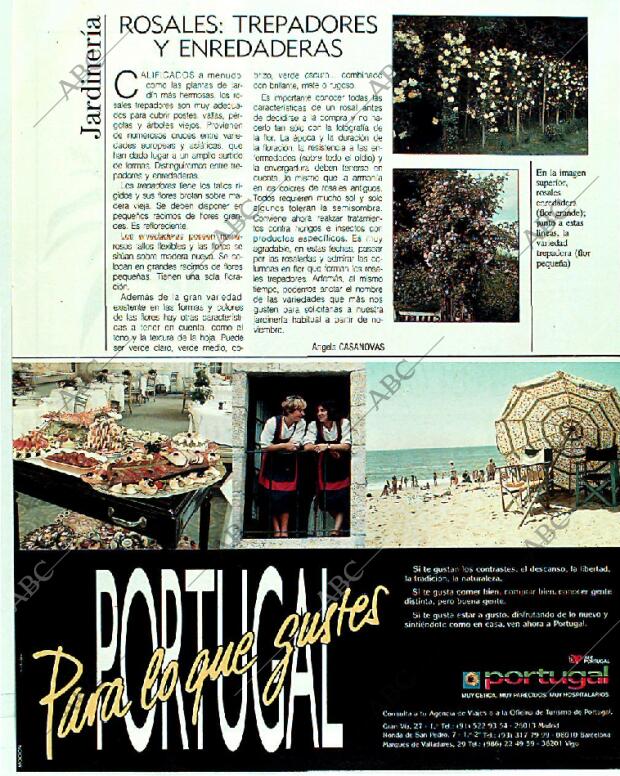 BLANCO Y NEGRO MADRID 04-06-1989 página 119