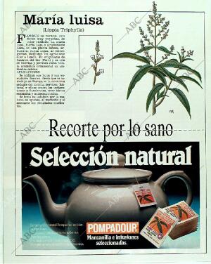 BLANCO Y NEGRO MADRID 04-06-1989 página 120