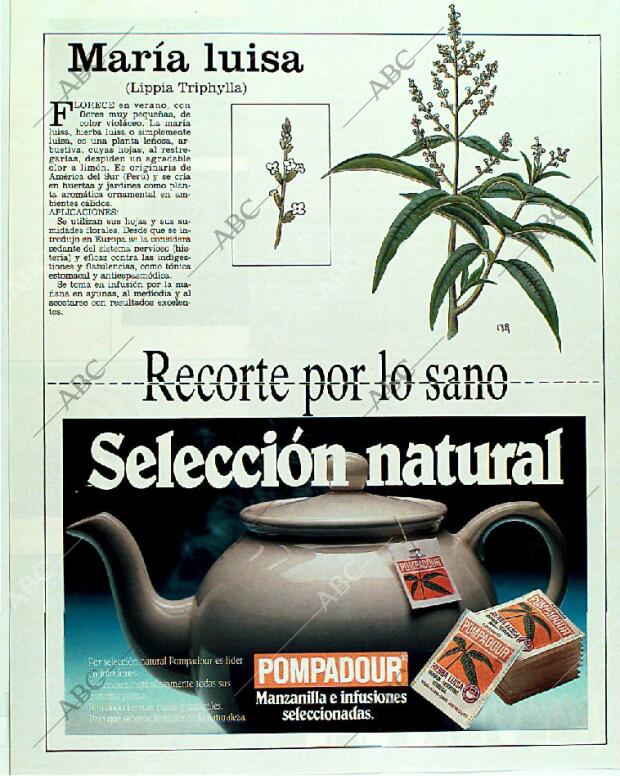 BLANCO Y NEGRO MADRID 04-06-1989 página 120