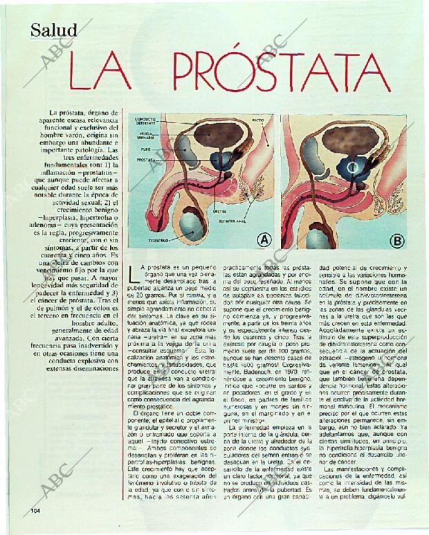 BLANCO Y NEGRO MADRID 11-06-1989 página 104