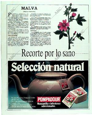 BLANCO Y NEGRO MADRID 11-06-1989 página 112