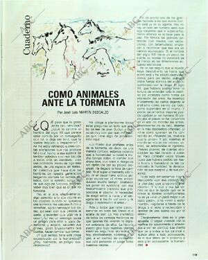 BLANCO Y NEGRO MADRID 11-06-1989 página 119