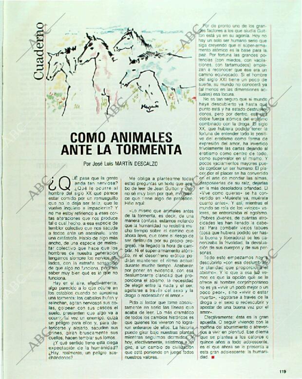 BLANCO Y NEGRO MADRID 11-06-1989 página 119