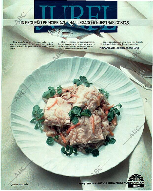 BLANCO Y NEGRO MADRID 11-06-1989 página 60