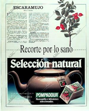 BLANCO Y NEGRO MADRID 18-06-1989 página 114