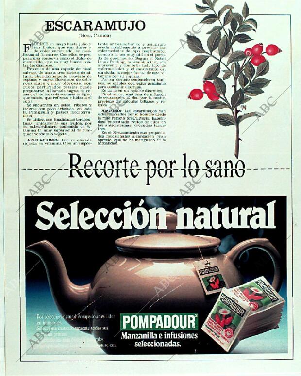 BLANCO Y NEGRO MADRID 18-06-1989 página 114