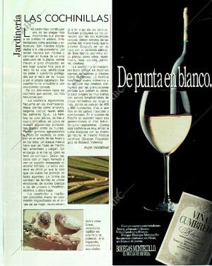 BLANCO Y NEGRO MADRID 18-06-1989 página 117