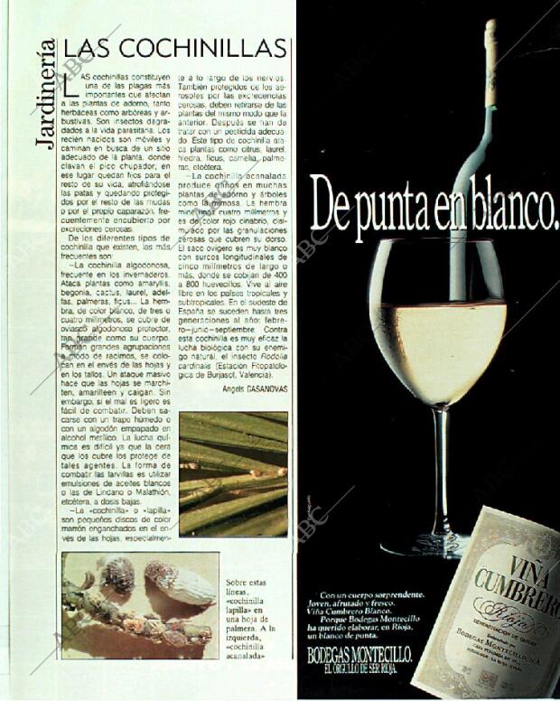 BLANCO Y NEGRO MADRID 18-06-1989 página 117