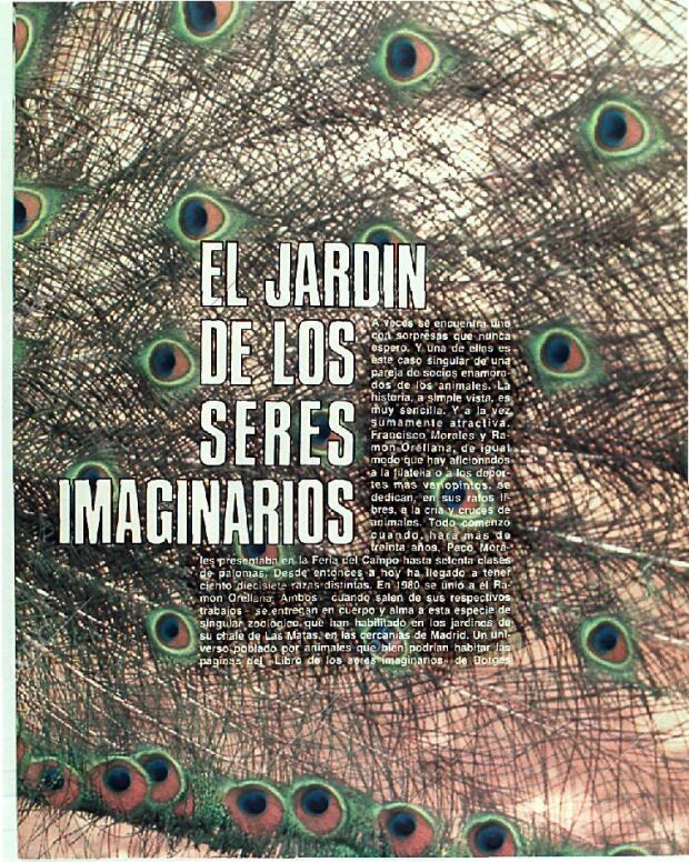 BLANCO Y NEGRO MADRID 18-06-1989 página 75