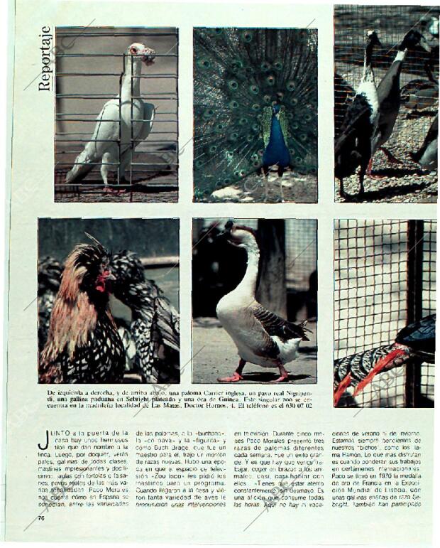 BLANCO Y NEGRO MADRID 18-06-1989 página 76