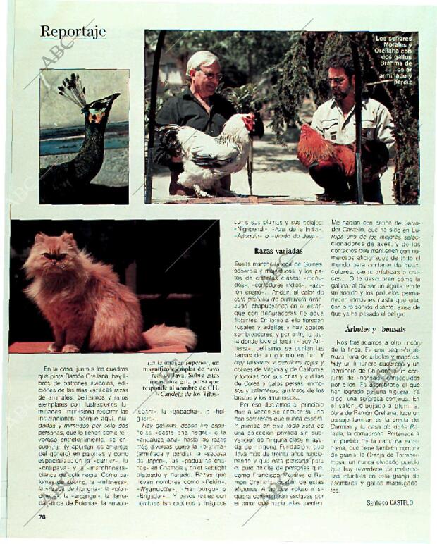 BLANCO Y NEGRO MADRID 18-06-1989 página 78