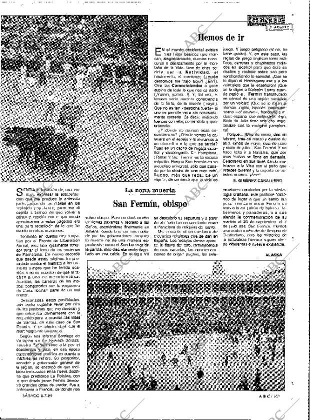 ABC MADRID 08-07-1989 página 101