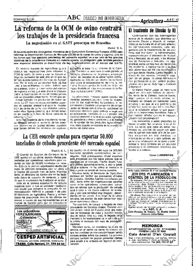 ABC MADRID 09-07-1989 página 65