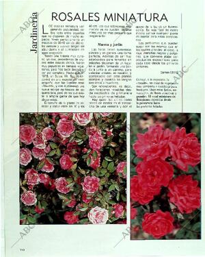 BLANCO Y NEGRO MADRID 09-07-1989 página 110