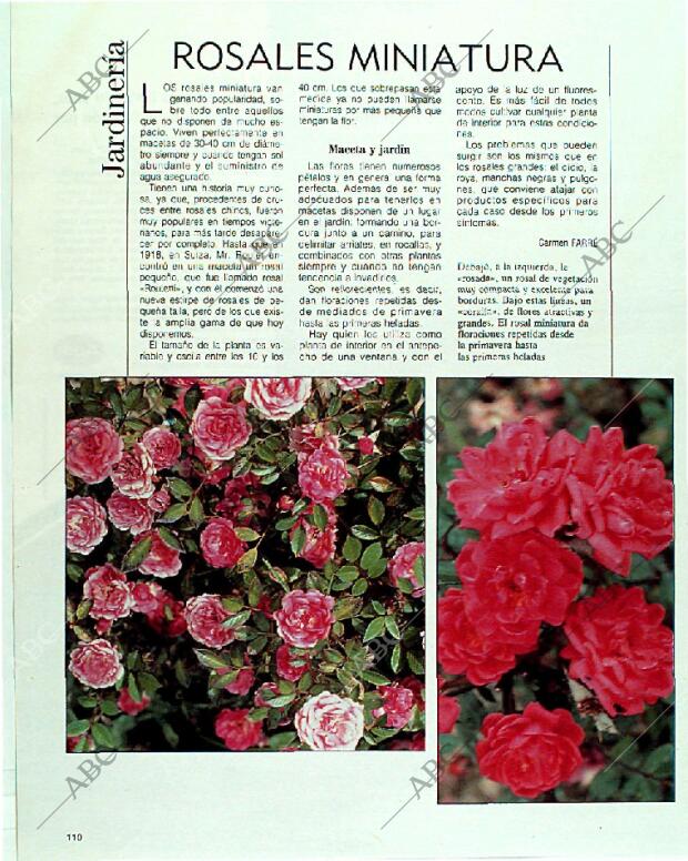 BLANCO Y NEGRO MADRID 09-07-1989 página 110