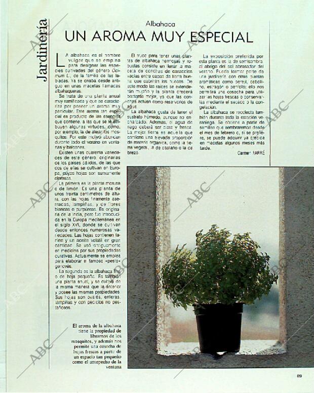 BLANCO Y NEGRO MADRID 20-08-1989 página 89