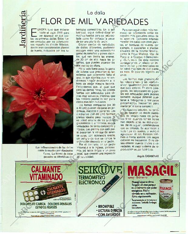 BLANCO Y NEGRO MADRID 10-09-1989 página 90