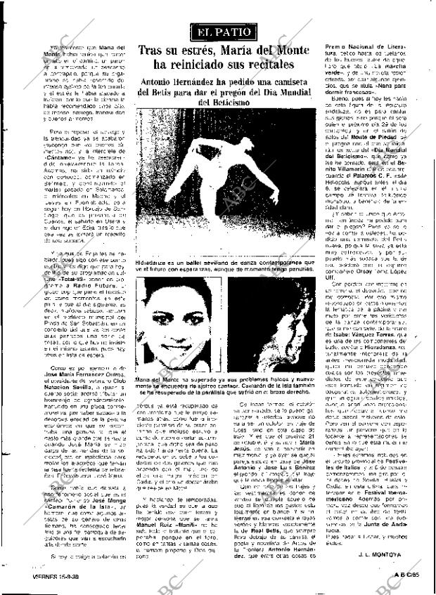 ABC SEVILLA 15-09-1989 página 85