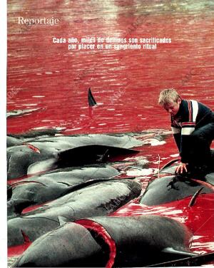 BLANCO Y NEGRO MADRID 08-10-1989 página 70