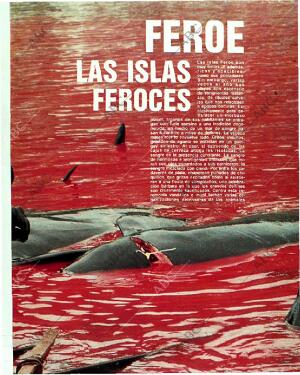 BLANCO Y NEGRO MADRID 08-10-1989 página 71