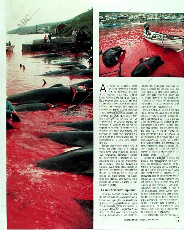 BLANCO Y NEGRO MADRID 08-10-1989 página 73