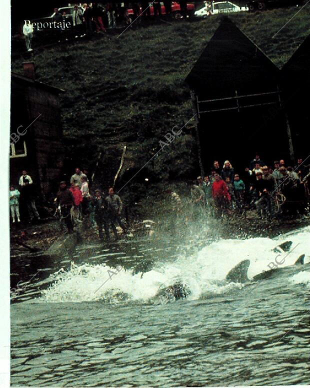 BLANCO Y NEGRO MADRID 08-10-1989 página 74