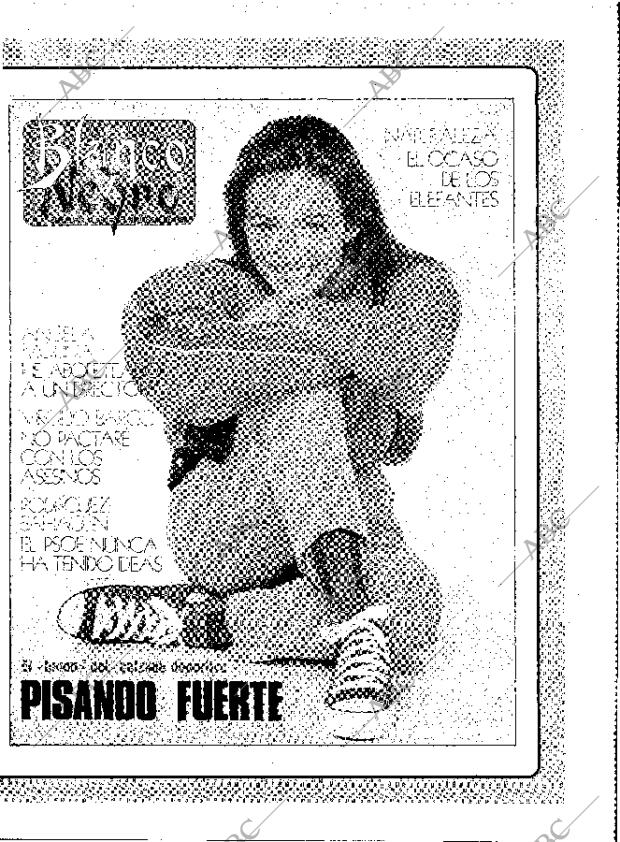 ABC MADRID 02-11-1989 página 17