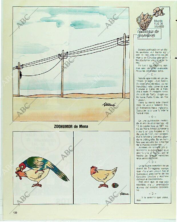 BLANCO Y NEGRO MADRID 05-11-1989 página 120