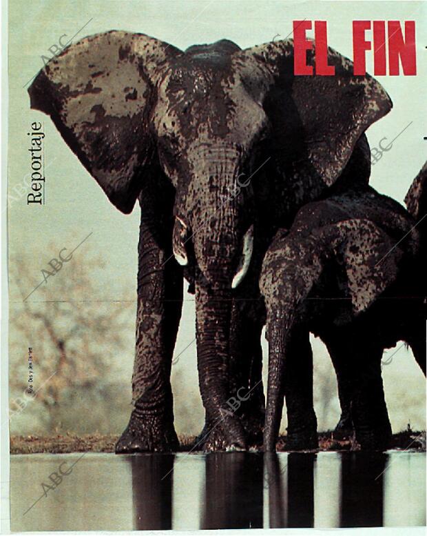 BLANCO Y NEGRO MADRID 05-11-1989 página 70