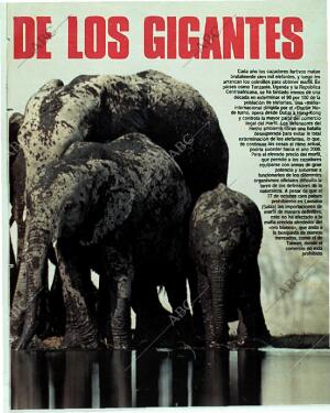 BLANCO Y NEGRO MADRID 05-11-1989 página 71