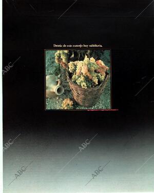 BLANCO Y NEGRO MADRID 19-11-1989 página 9