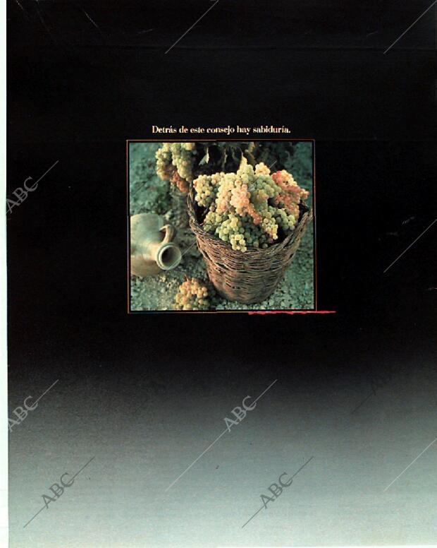 BLANCO Y NEGRO MADRID 19-11-1989 página 9