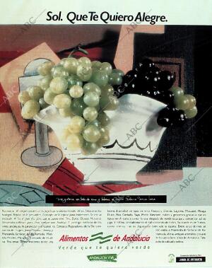 BLANCO Y NEGRO MADRID 31-12-1989 página 13