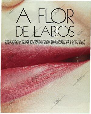 BLANCO Y NEGRO MADRID 31-12-1989 página 85