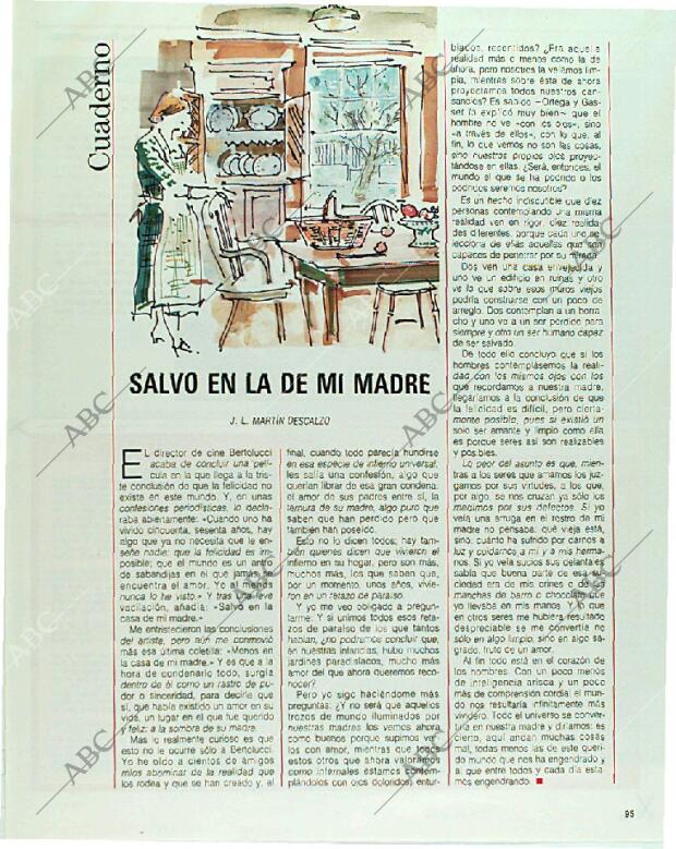 BLANCO Y NEGRO MADRID 31-12-1989 página 95