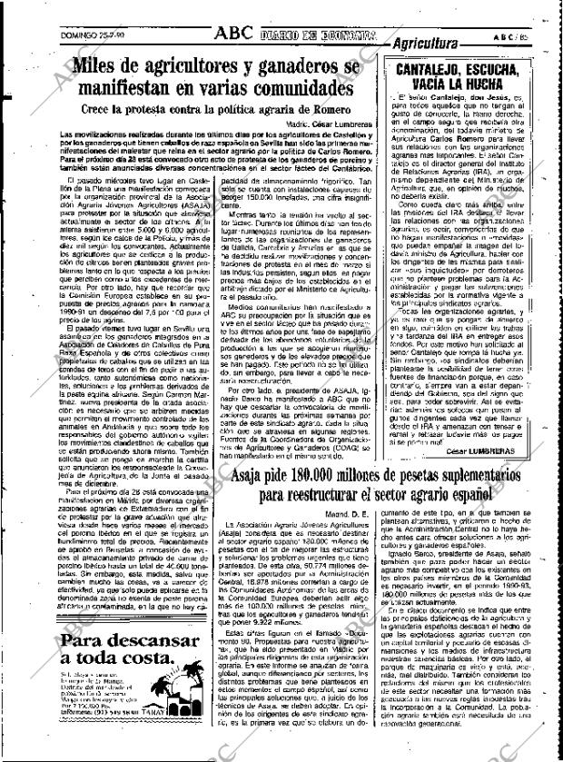 ABC MADRID 25-02-1990 página 85