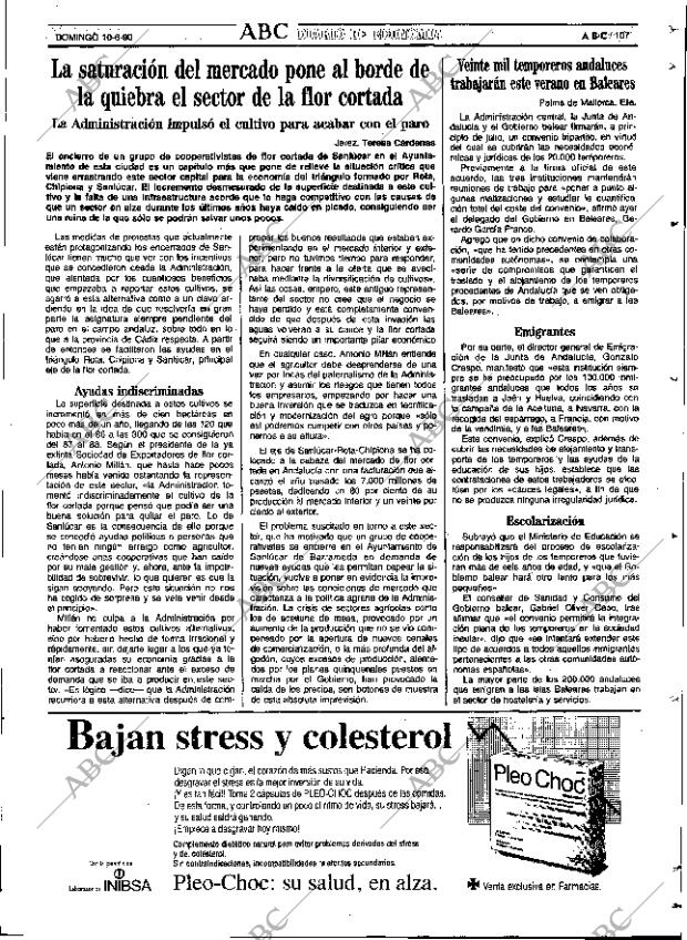 ABC SEVILLA 10-06-1990 página 107