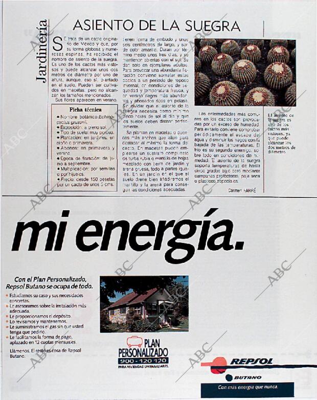 BLANCO Y NEGRO MADRID 02-12-1990 página 113