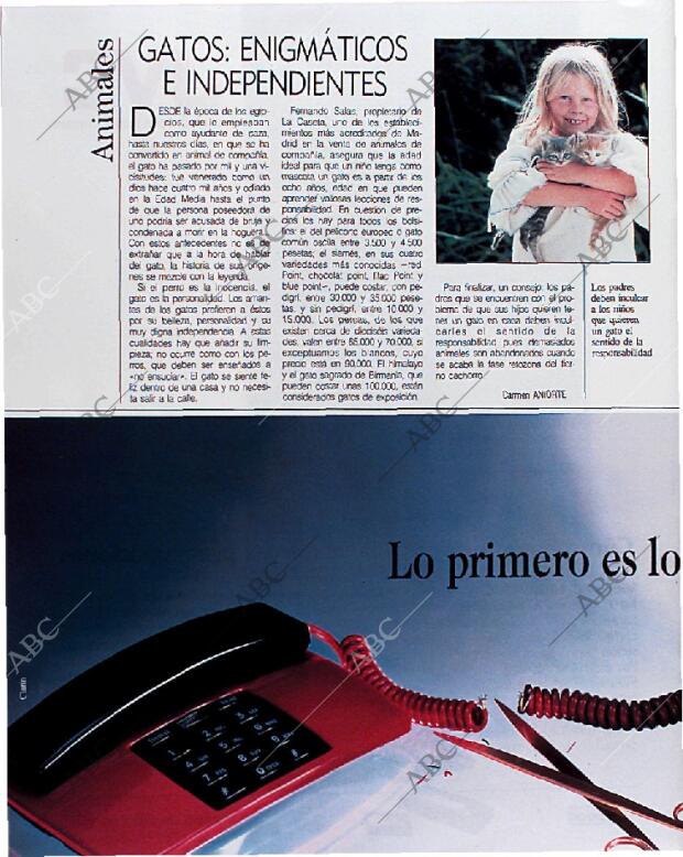 BLANCO Y NEGRO MADRID 09-12-1990 página 134