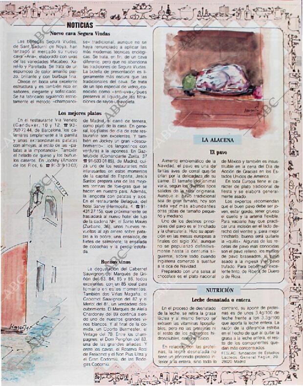 BLANCO Y NEGRO MADRID 06-01-1991 página 95