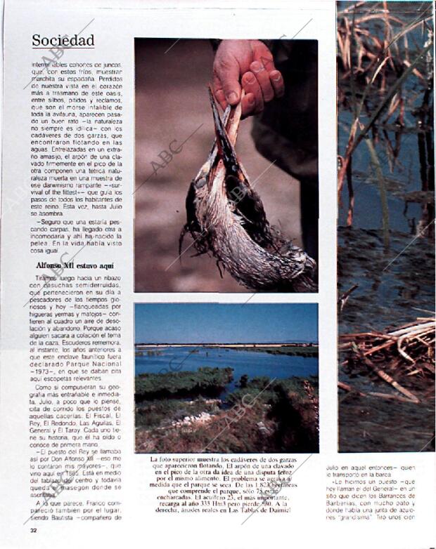 BLANCO Y NEGRO MADRID 13-01-1991 página 32