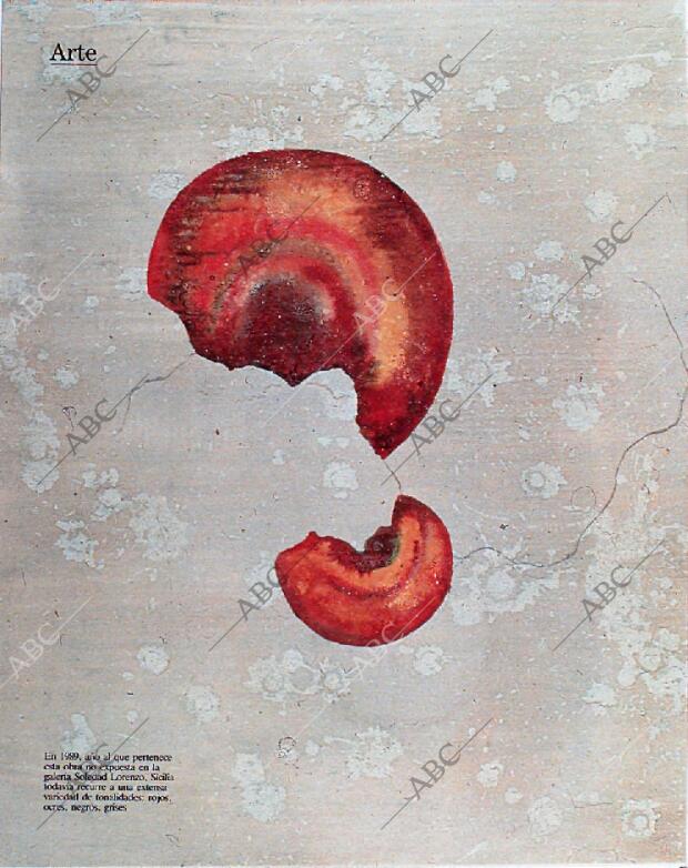 BLANCO Y NEGRO MADRID 10-02-1991 página 46