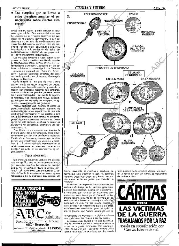 ABC SEVILLA 28-03-1991 página 77