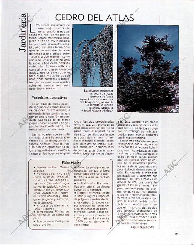 BLANCO Y NEGRO MADRID 21-04-1991 página 121