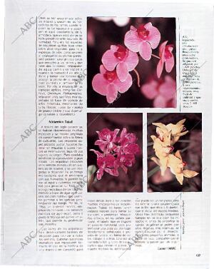 BLANCO Y NEGRO MADRID 26-05-1991 página 107