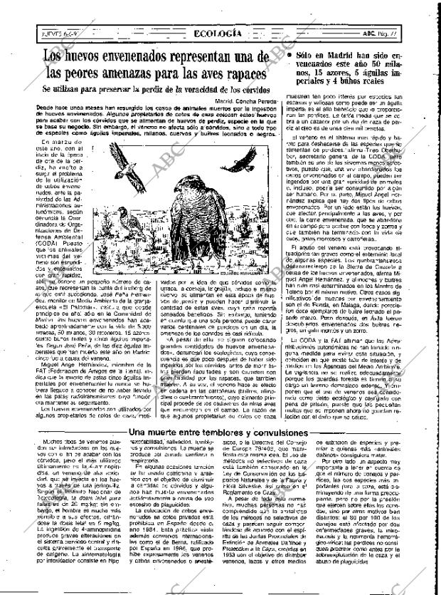 ABC MADRID 06-06-1991 página 77