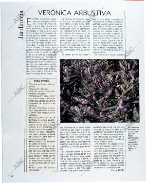 BLANCO Y NEGRO MADRID 18-08-1991 página 94